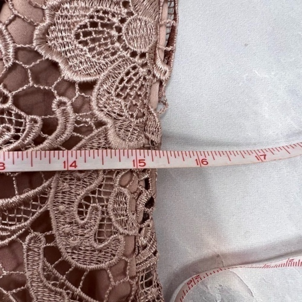 NWOT Adrianna Papell Lace Illusion Dress - Picture 6 of 8